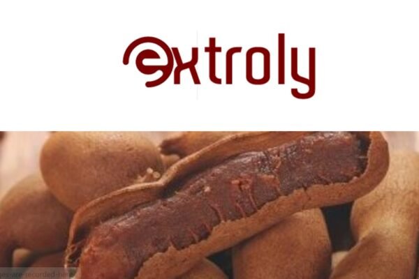 Extroly com