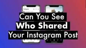 Can You See Who Shared Your Instagram Post