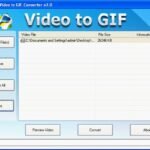 Video to GIF Converter